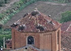 Alcolea de Cinca. Ooievaars   A.Bender : SPANJE 2012 60D